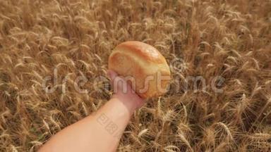 人在麦田里捧着一个金色的面包.. 慢生活方式<strong>运动视频</strong>。 小麦领域的成功农学家